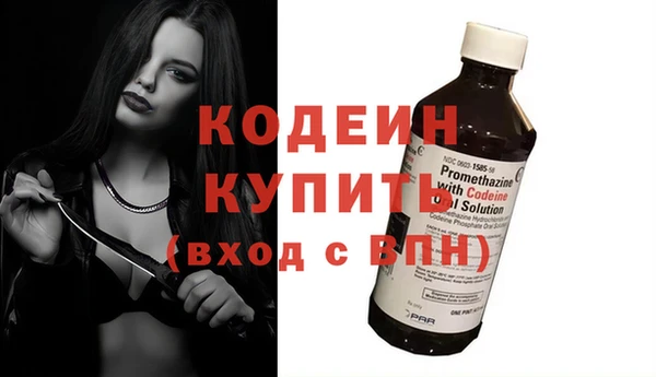 крисы Вязьма