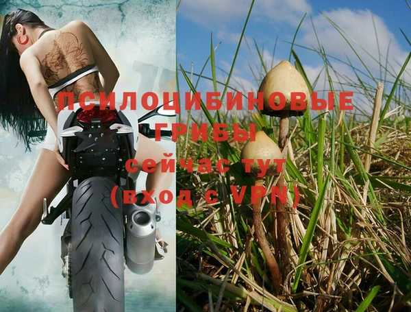 крисы Вязьма